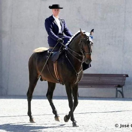 Horse Riding Country House Vila Franca de Xira Exterior photo