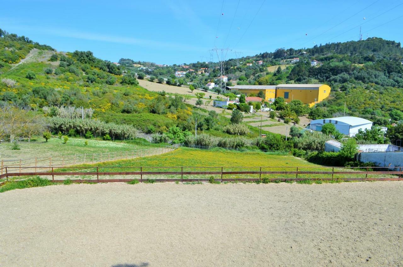 Horse Riding Country House Vila Franca de Xira Exterior photo